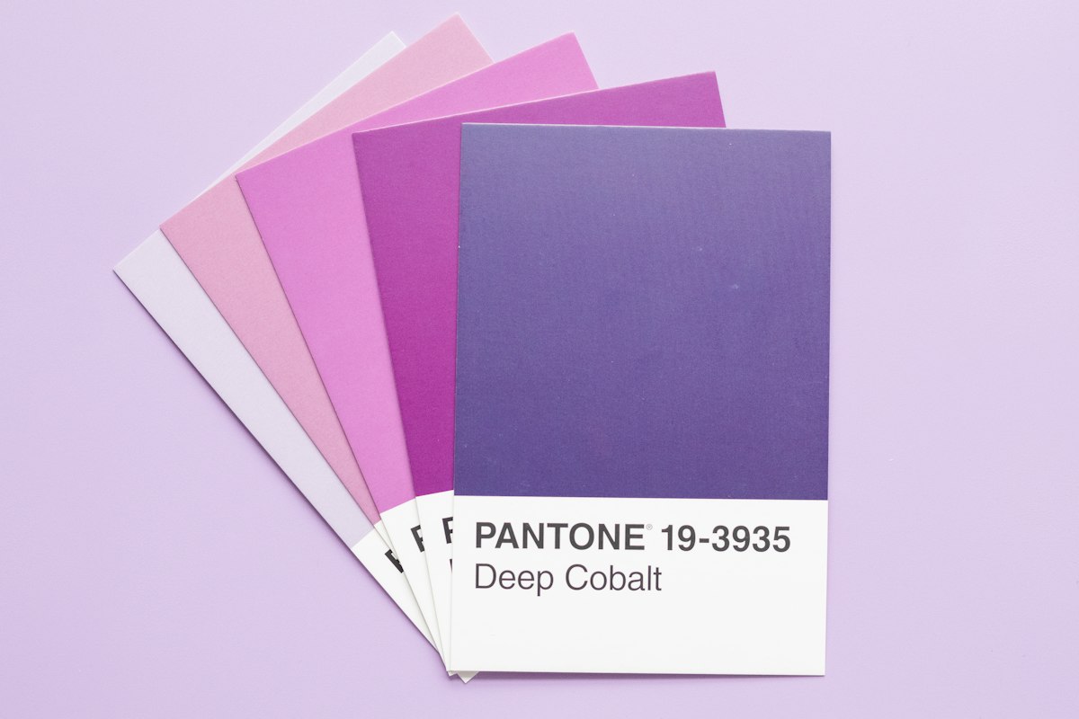 Fanned brand color palette swatches used in a rebrand project